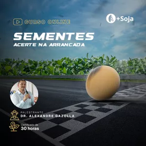 Capa do curso 