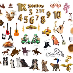 Imagem de capa para o Curso online Vetores Diversos!