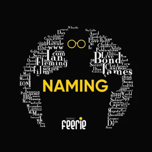 Imagem de capa para o Ebook NAMING: TUDO DE CRIAÇÃO DE NOME!