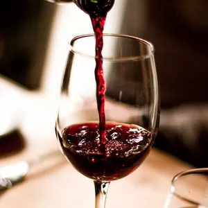 Imagem de capa para o Ebook Um brinde ao mundo dos vinhos!