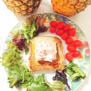 Imagem de capa para o Ebook Tosta na Frigideira