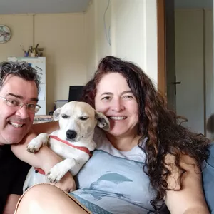 Imagem de capa para o Curso online Escola da papietagem