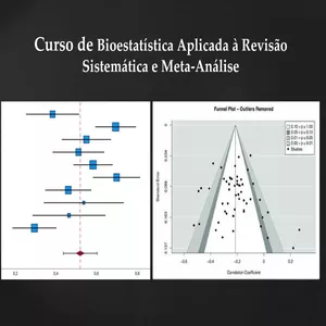 Imagem de capa para o Curso online Bioestatística Aplicada à Revisão Sistemática e Meta-Análise