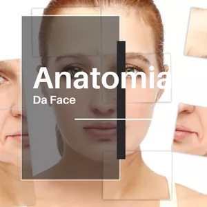 Imagem de capa para o Ebook ANATOMIA DA FACE