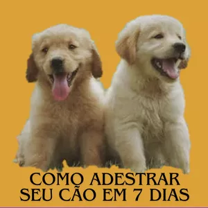 Imagem de capa para o Ebook Como adestrar seu cão em 7 dias