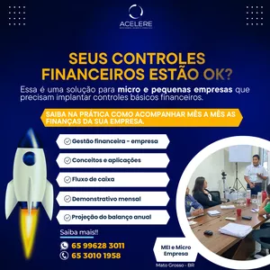 Imagem de capa para o Serviço online Consultoria Controles Financeiros para MEI e Micro Empresa - Iniciante