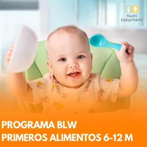 Imagen de portada para Curso online 🥑Programa BLW - Primeros Alimentos Sólidos (6-12 meses)