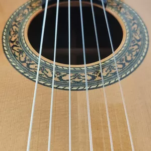 Imagem do curso Guia do Violão - Nível Básico