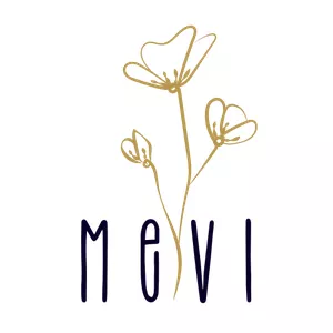 Imagem do curso MEVI