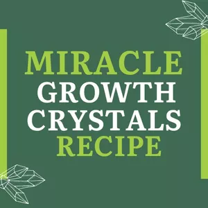 Cover image for Ebook Miracle Growth Crystals