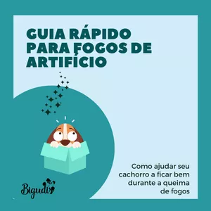 Imagem de capa para o Ebook Guia Rápido para Ajudar seu Cachorro a Ficar Bem Durante a Queima de Fogos