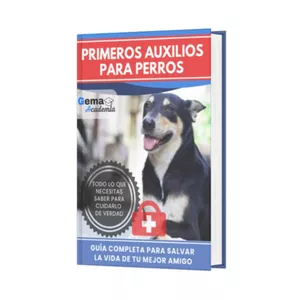 Imagen de portada para Ebook Primeros Auxilios Para Perros + Certificado