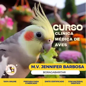 Imagem de capa para o Curso online Clinica Médica de Aves