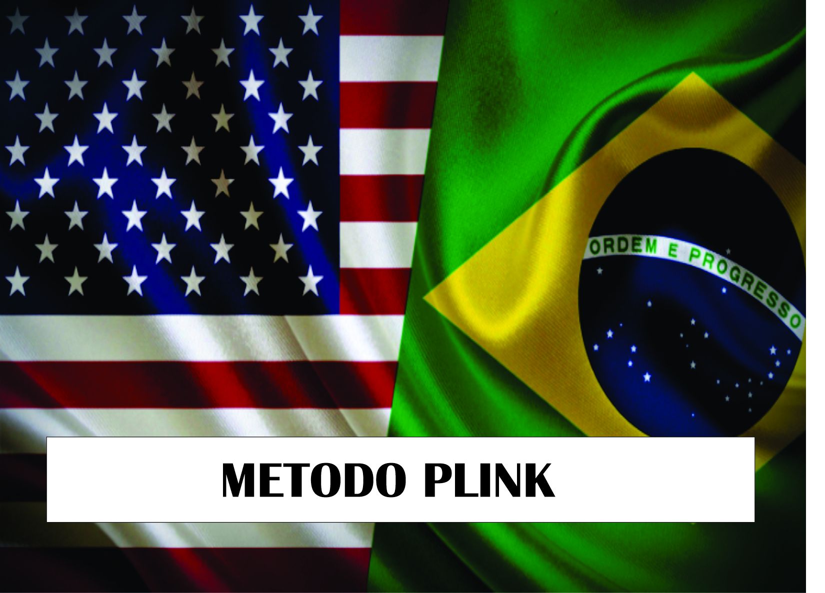 Imagem de Importador 1.0 PLINK criado por Edson na hotmart