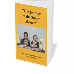 Cover image for Ebook "The Journey of the Smart Money"
