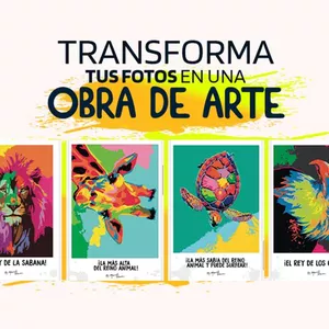 Imagem de capa para o Curso online Transforma tus fotos en una obra de arte