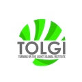 Turning On the Lights Global Institute logo