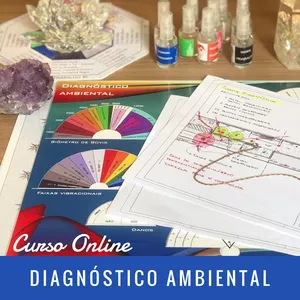 Imagem principal do produto CURSO ONLINE | Diagnóstico Ambiental