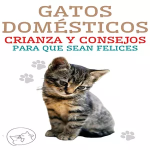 Imagen de portada para Ebook Gatos Domésticos Crianza y Consejos Para Que Sean Felices