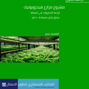 Cover image for Ebook دراسة جدوى مشروع مزارع هيدروبونيك(زراعة الخضروات في المياه)، سطح منزل بمساحة 180 متر، ‏القاهرة، مصر ‏