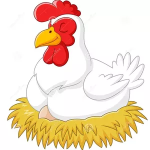 Imagem de capa para o Ebook PARLENDA GALINHA CHOCA