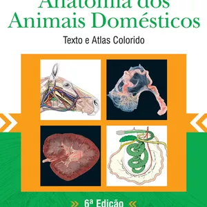 Imagem de capa para o Ebook ANATOMIA KONIG 
