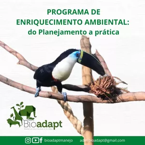 Imagem de capa para o Curso online Programa de Enriquecimento Ambiental: do planejamento a prática