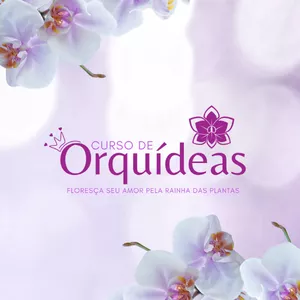Imagem do curso Curso de Orquídeas