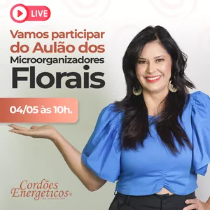 Imagem de capa para o Curso online Gravação dos microorganizadore florais