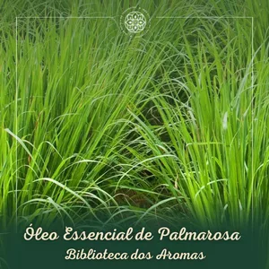 Imagem de capa para o Curso online Palmarosa - Biblioteca de Aromas
