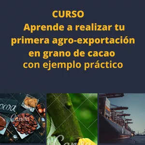 Imagen de portada para Ebook Aprende a realizar tu primera agro-exportación en grano de cacao con ejemplo práctico
