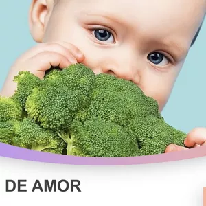 Imagen de portada para Curso online Curso Alimentación Complementaria