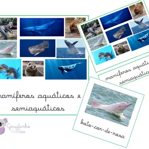 Imagem de capa para o Ebook Cartões Montessori - Mamíferos Aquáticos e Semiaquáticos - Letra cursiva, em preto.