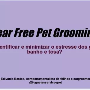 Imagem de capa para o Curso online Como avaliar e minimizar o estresse dos gatos no banho e tosa?