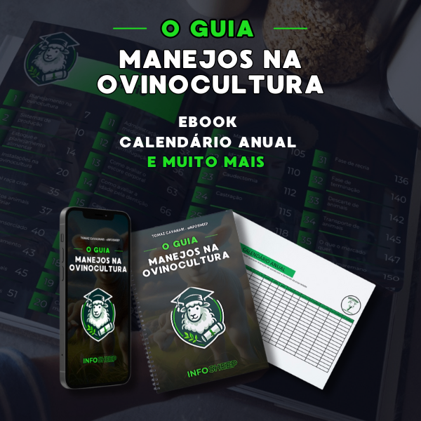 ebook_(2) Apostila Guia de Manejo na Ovinocultura: Aumente a Saúde e Produtividade do Seu Rebanho com Dicas Profissionais PDF