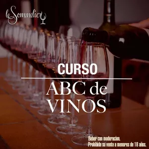 Imagen de portada para Curso online CURSO DE VINOS ARGENTINOS