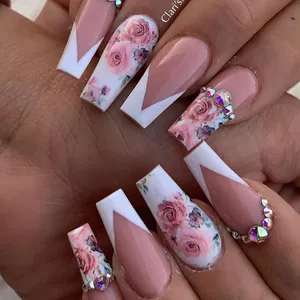 Imagem de Curso de Unhas de Fibra criado por ROSIVALDO PRUDENTE na hotmart