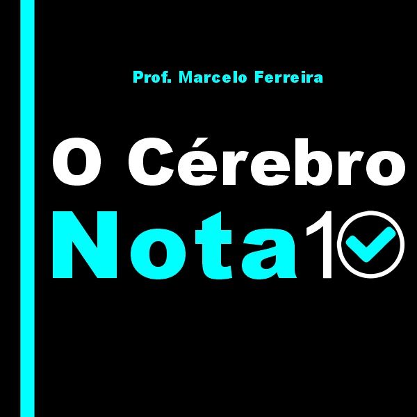 Imagem de Curso - O Cérebro Nota 10 - Para ser uma pessoa melhor, estudar com qualidade, passar nas provas e concursos e ter realização profissional. criado por Prof. Marcelo - Cursos, consultorias e livros. na hotmart