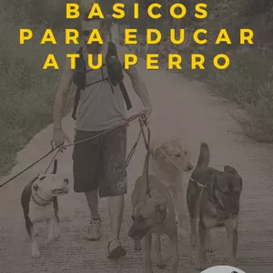 Imagen de portada para Ebook Educación canina. Conceptos básicos