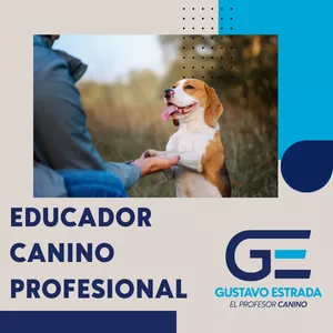 Imagen de portada para Curso online Educador Canino Profesional