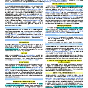 Imagem de capa para o Ebook RESUMO - SISTEMA ÚNICO DE SAÚDE