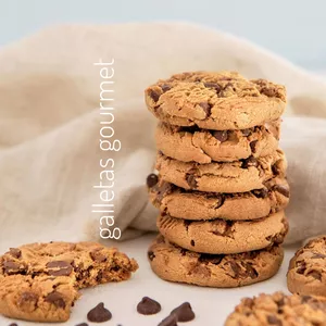 Imagen de portada para Ebook Galletas gourmet 
