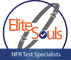EliteSouls Online Academy