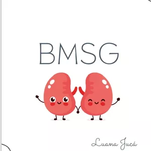 Imagem de capa para o Ebook Resumo Bases Morfológicas do Sistem Geniturinário