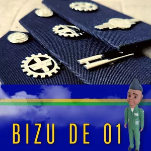 Imagem de capa para o Curso online Bizu de 01 (CFOE / EAOF)👮🏾‍♂️🇧🇷