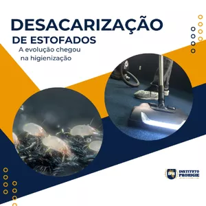 Imagem de capa para o Curso online Desacarização de Estofados - Curso completo