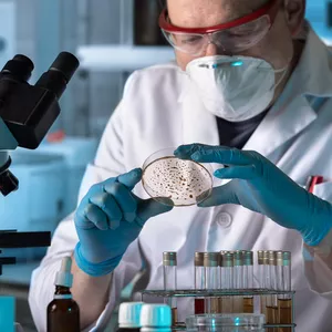 Imagem de capa para o Curso online Pós-graduação em Microbiologia Clínica 