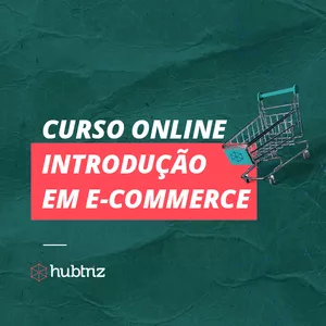 Imagem principal do produto Curso Online Introdução em E-commerce