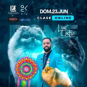Imagen de portada para Curso online Peluqueria para Pomerania By Luis Castro Groomer Profesional
