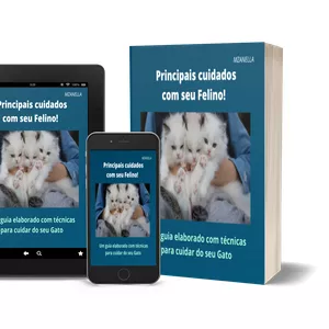 Imagem de capa para o Ebook Principais cuidados com seu Felino